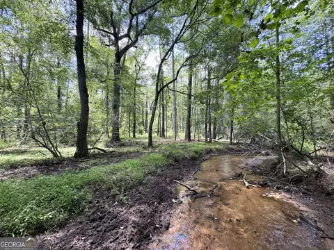 tbd Wooten Rd, Cuthbert, GA 39840