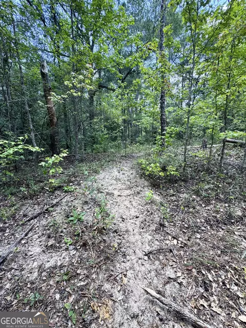 tbd Wooten Rd, Cuthbert, GA 39840 photo 39