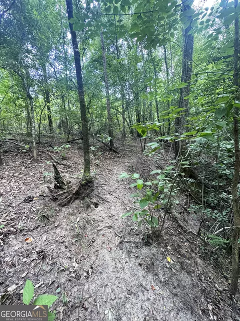 tbd Wooten Rd, Cuthbert, GA 39840 photo 35
