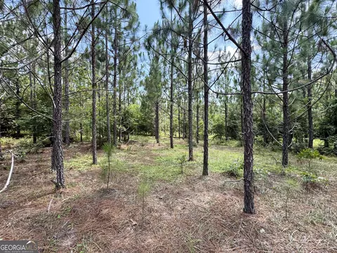 tbd Wooten Rd, Cuthbert, GA 39840 photo 38