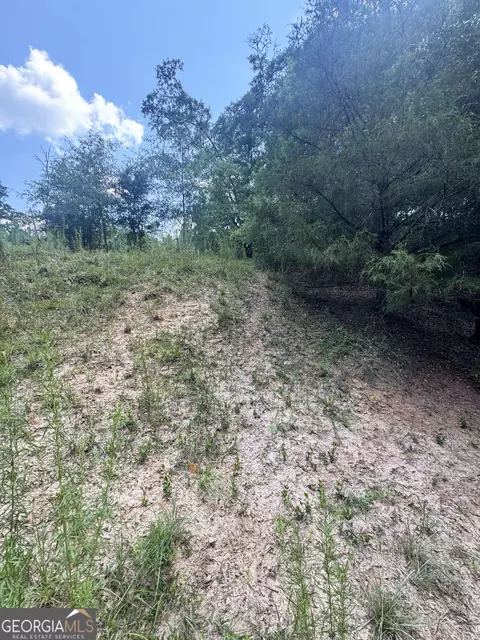 tbd Wooten Rd, Cuthbert, GA 39840 photo 14