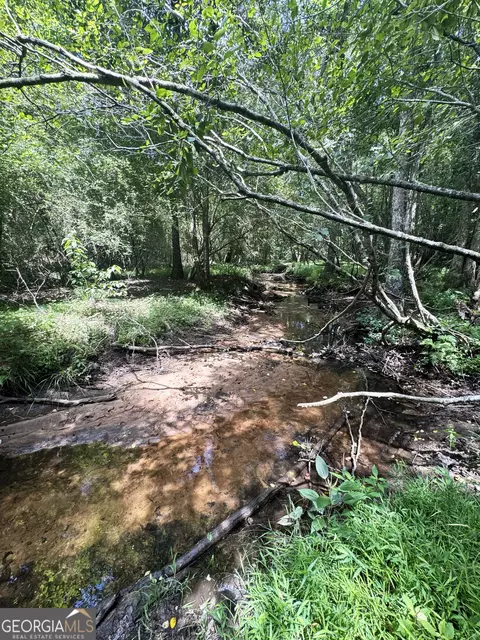 tbd Wooten Rd, Cuthbert, GA 39840 photo 30