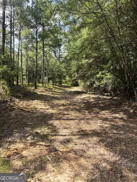 tbd Wooten Rd, Cuthbert, GA 39840 photo 23
