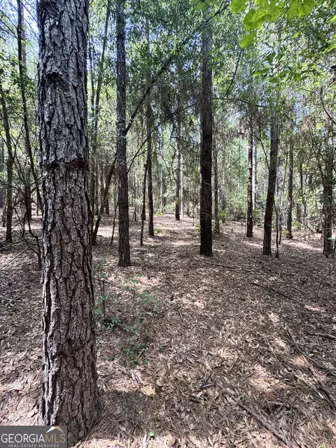 tbd Wooten Rd, Cuthbert, GA 39840 photo 52