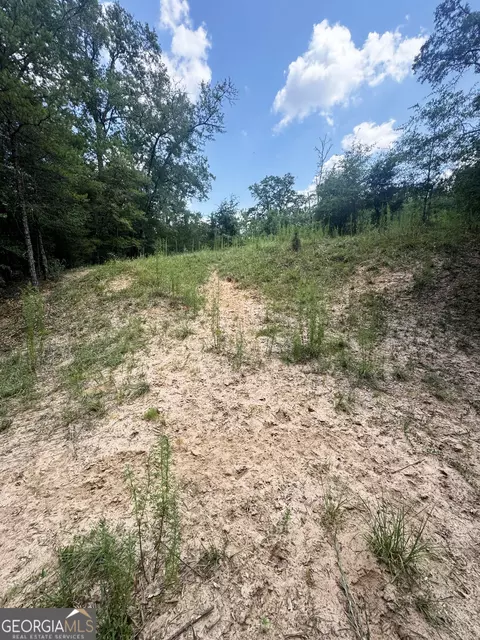 tbd Wooten Rd, Cuthbert, GA 39840 photo 26