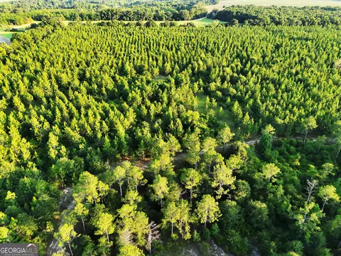 tbd Wooten Rd, Cuthbert, GA 39840 photo 67