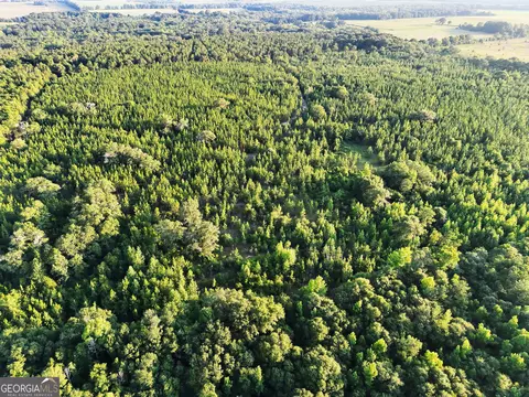 tbd Wooten Rd, Cuthbert, GA 39840 photo 63