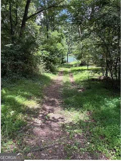 View/Area - 75 Lake Dr, Dawsonville, GA 30534 photo 6 of 7