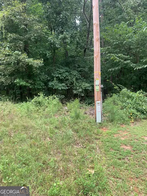 5 008 Ac Digby Rd #TRACT II, Covington, GA 30014 photo 6