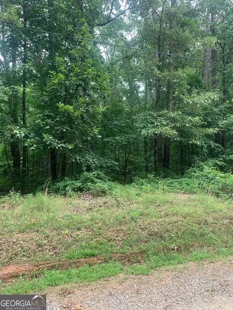 5 008 Ac Digby Rd #TRACT II, Covington, GA 30014 photo 3