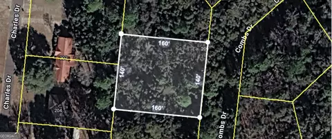 205 Combs Dr, Montezuma, GA 31063