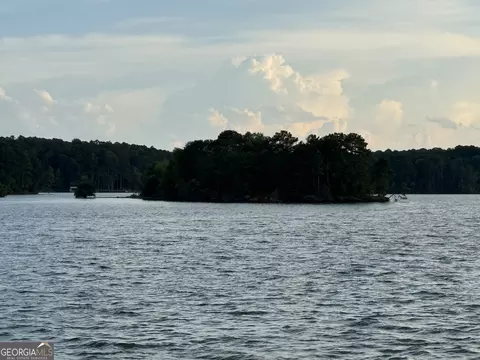 View/Area - 58 S Pine Cove Dr, Lagrange, GA 30240 photo 5 of 7