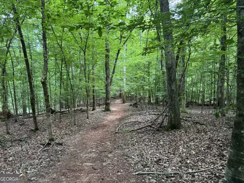 Other - 58 S Pine Cove Dr, Lagrange, GA 30240 photo 5 of 8