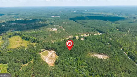 3431 Syrup Mill Xing, Greensboro, GA 30642