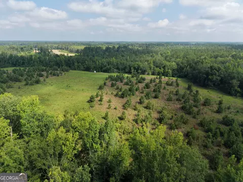 0 Highway 17, Midville, GA 30441