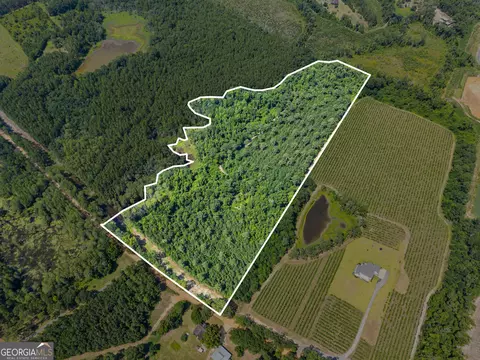 0 Jo Dan Rd, Register, GA 30452 photo 8