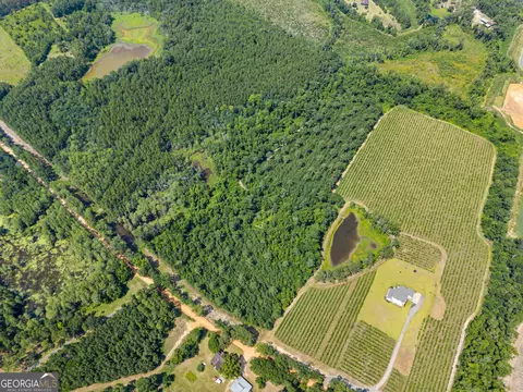 0 Jo Dan Rd, Register, GA 30452 photo 3