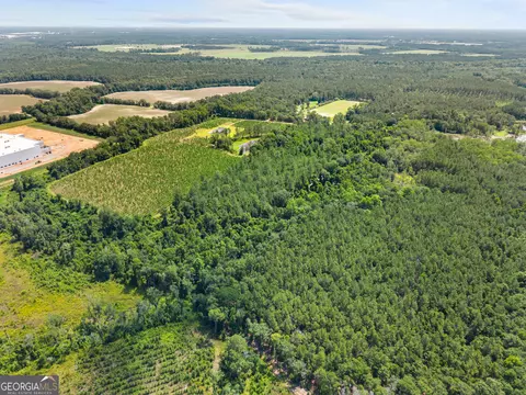 0 Jo Dan Rd, Register, GA 30452 photo 5