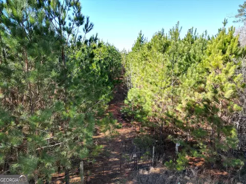 0 Jaudon Rd #(30.03 ACRE ), Elberton, GA 30635