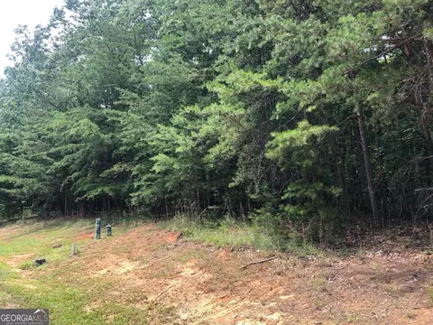 1613 Duchess Ln, Clarkesville, GA 30523 photo 12