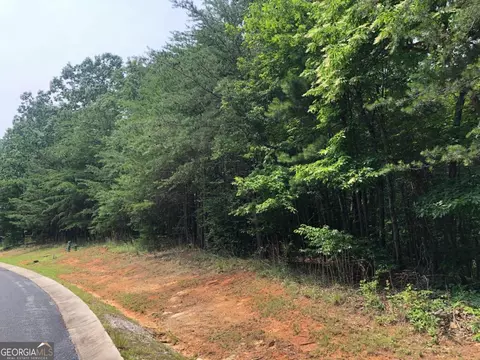 1613 Duchess Ln, Clarkesville, GA 30523 photo 11