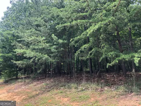 1613 Duchess Ln, Clarkesville, GA 30523 photo 14