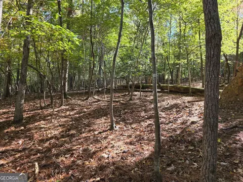 lot Zenith Trl #385, Ellijay, GA 30540