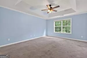 339 Centennial Dr, Bethlehem, GA 30620 photo 10