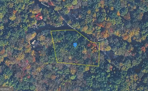 1060 Nexus Dr, Ellijay, GA 30540