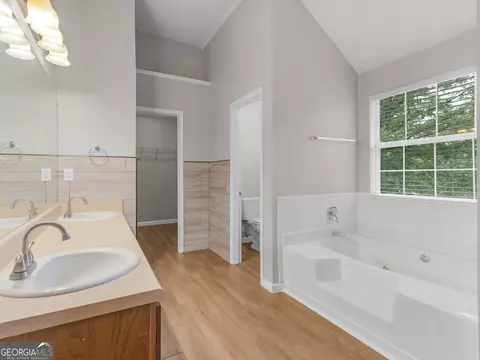 Bath - 424 Browning Field Way, Hampton, GA 30228 photo 3 of 6