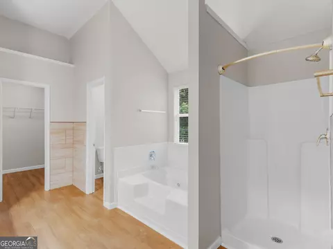 Bath - 424 Browning Field Way, Hampton, GA 30228 photo 4 of 6