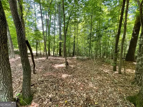 lot2 Mount Pleasant Ridge Rd #2, Blairsville, GA 30512