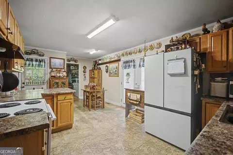 Kitchen - 151 Ginn St, Carnesville, GA 30521 photo 1 of 4