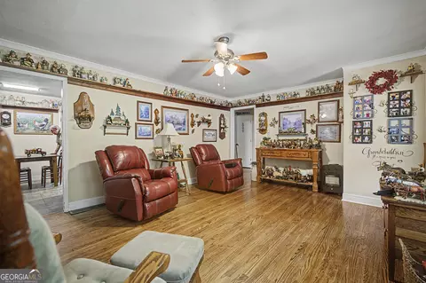 Other - 151 Ginn St, Carnesville, GA 30521 photo 3 of 11