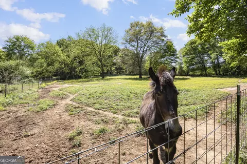 Other - 151 Ginn St, Carnesville, GA 30521 photo 10 of 11