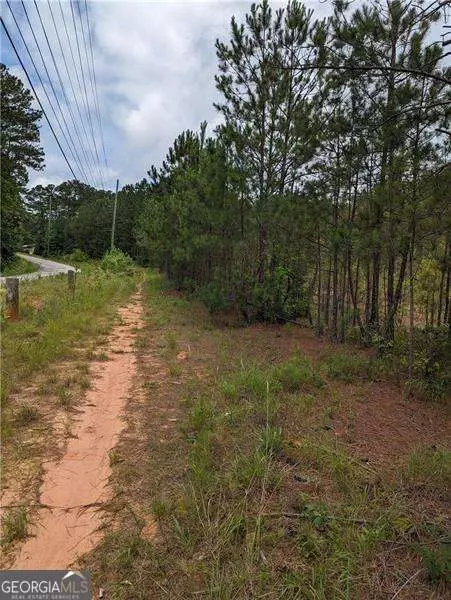7900 Downs Rd, Winston, GA 30187 photo 3