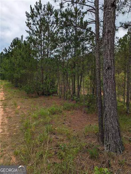 7900 Downs Rd, Winston, GA 30187 photo 4