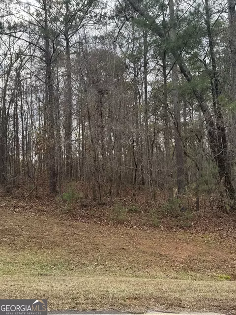 207 Forest Pointe Dr, Forsyth, GA 31029 photo 3