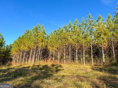 49 2 Acres Jordon Rd, Waverly Hall, GA 31831