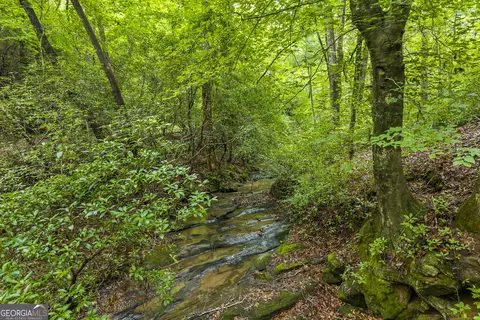 Other - 3014 Prather Bridge Rd, Toccoa, GA 30577 photo 5 of 42