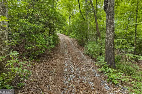 Other - 3014 Prather Bridge Rd, Toccoa, GA 30577 photo 8 of 42