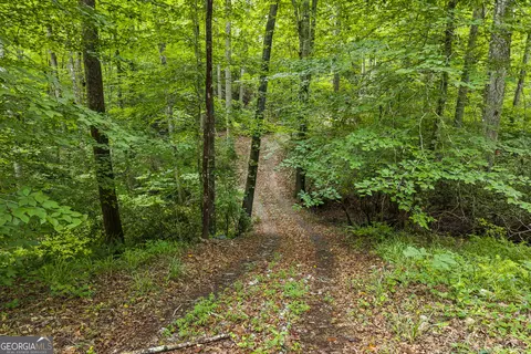 Other - 3014 Prather Bridge Rd, Toccoa, GA 30577 photo 21 of 42