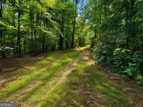 30 Cornish Trace Dr, Covington, GA 30014 photo 4