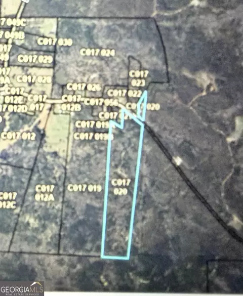 C017-020 Whitaker Road, Roberta, GA 31078 photo 2