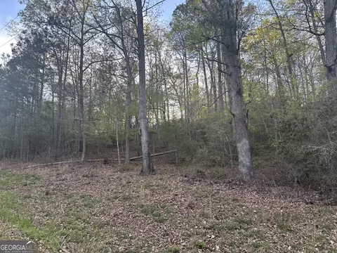 1141 Skipstone Dr, Watkinsville, GA 30677