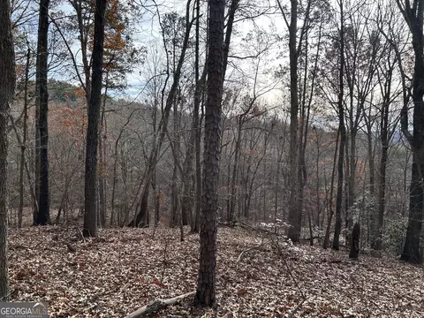 0 Highway 105, Baldwin, GA 30511 photo 8