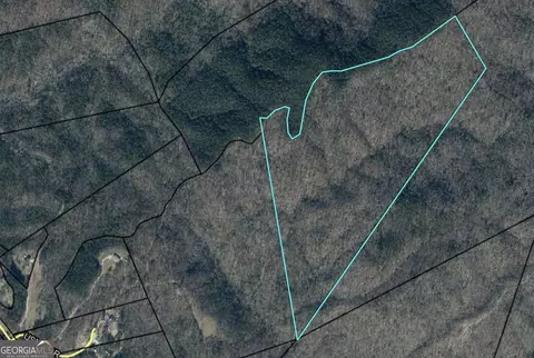 0 Highway 105, Baldwin, GA 30511 photo 3