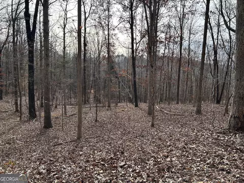0 Highway 105, Baldwin, GA 30511 photo 12
