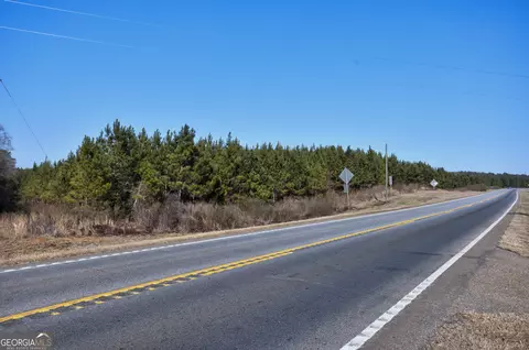 0 S U 82 Hwy E, Cuthbert, GA 39840 photo 6