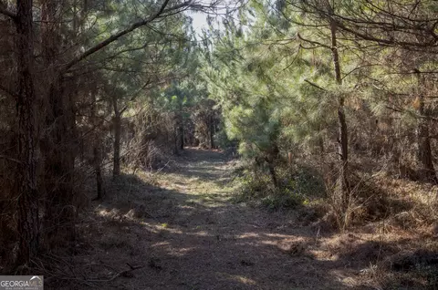 0 S U 82 Hwy E, Cuthbert, GA 39840 photo 13
